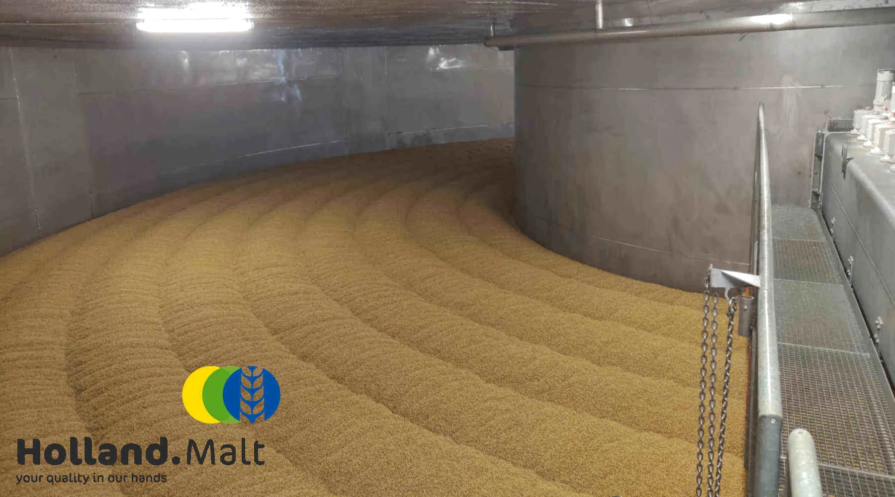 Malzproduktion bei Holland Malt